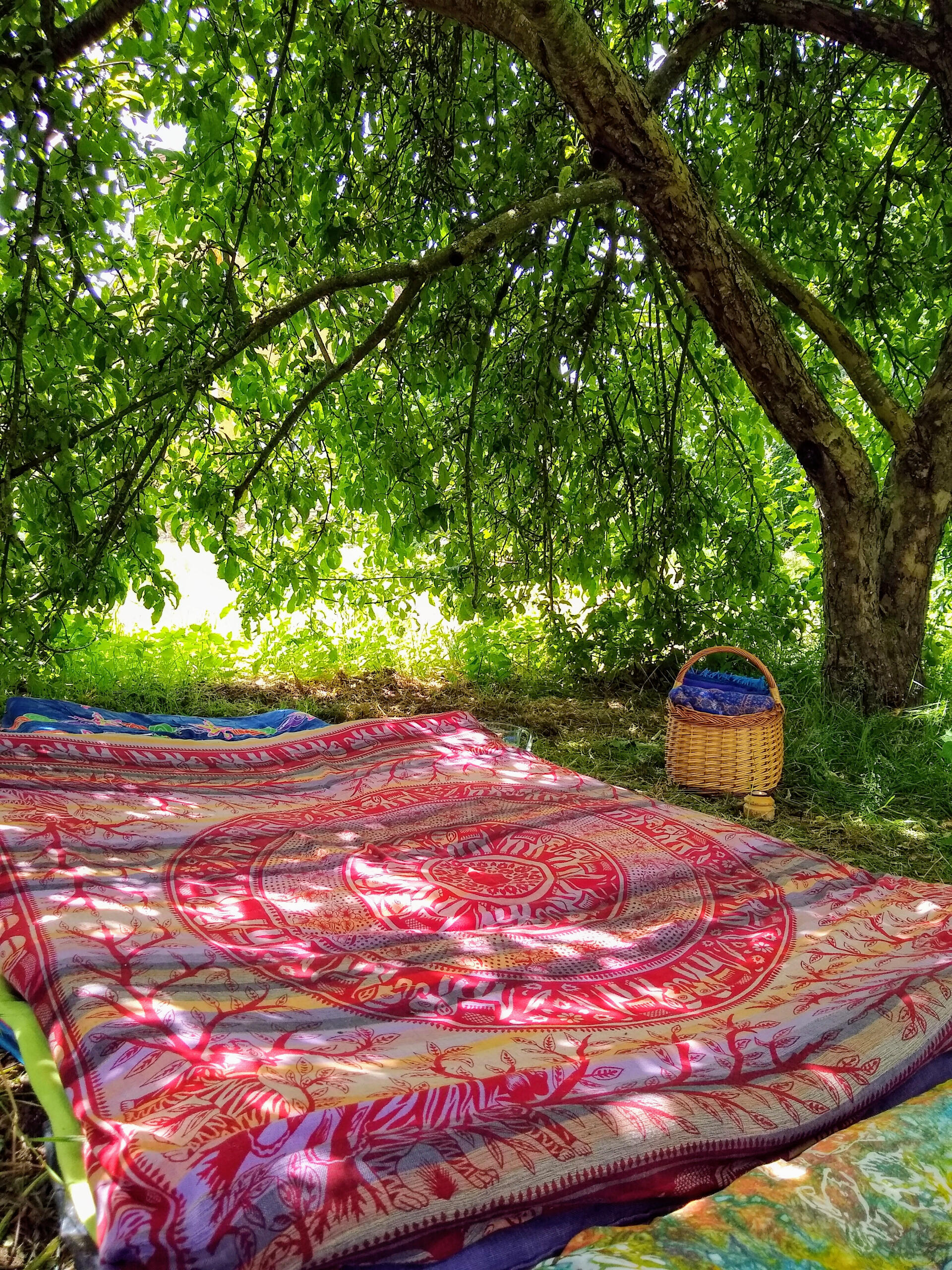 Le Pommier Artwork created by one of our clients, after receiving a shiatsu under the apple tree